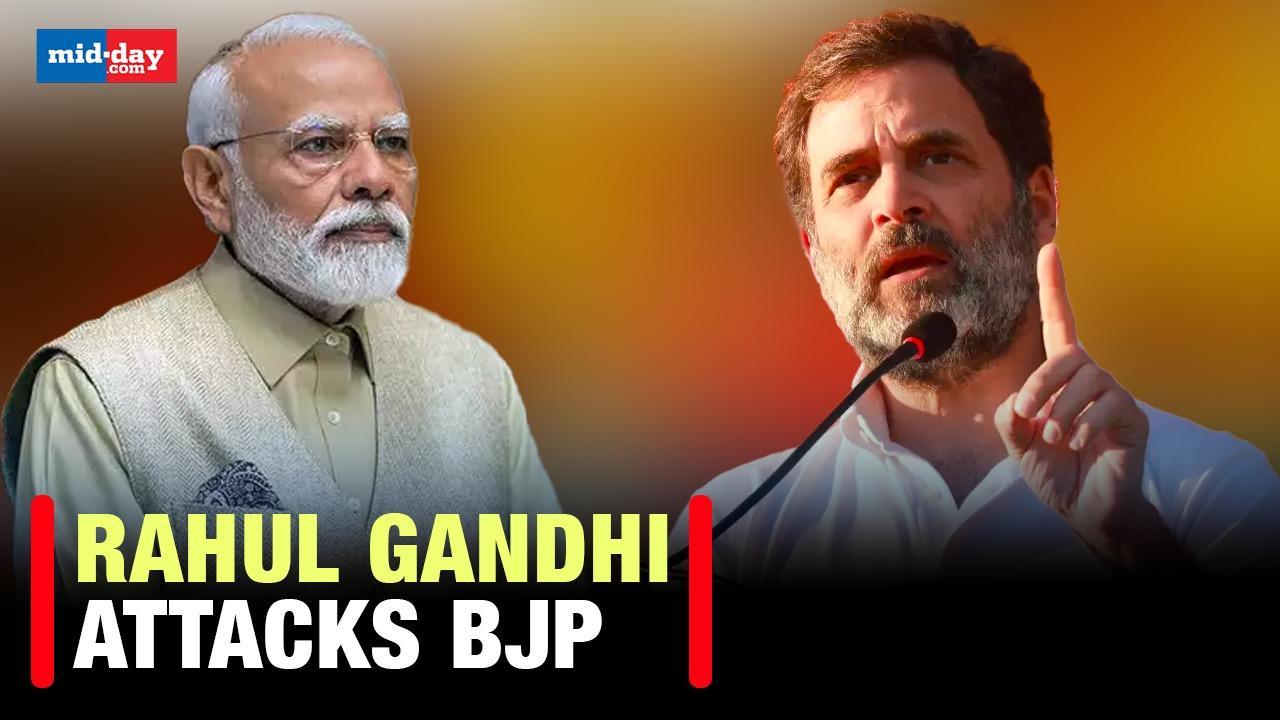 Rahul Gandhi attacks BJP over representation of backward class