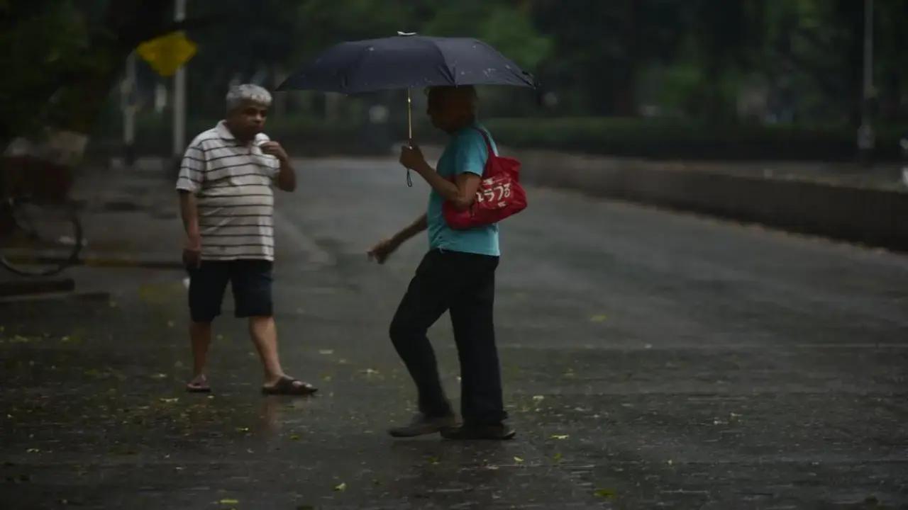 Maharashtra: Unseasonal rain, hailstorms hit crops in Vidarbha region
