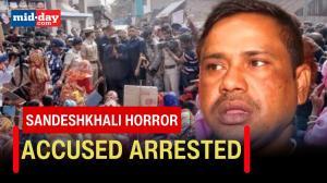Sandeshkhali Horror: TMC'S Shibu Hazra accused of sexual harassment arrested