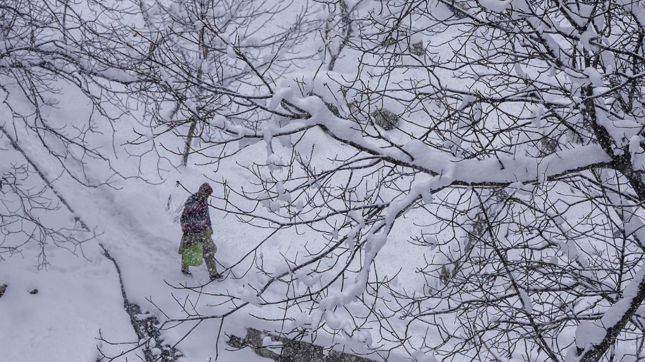 After consecutive days of moderate to heavy snow in several parts of the Himachal Pradesh, 504 roads, including four national highways, in the state were closed for vehicular traffic, PTI reported