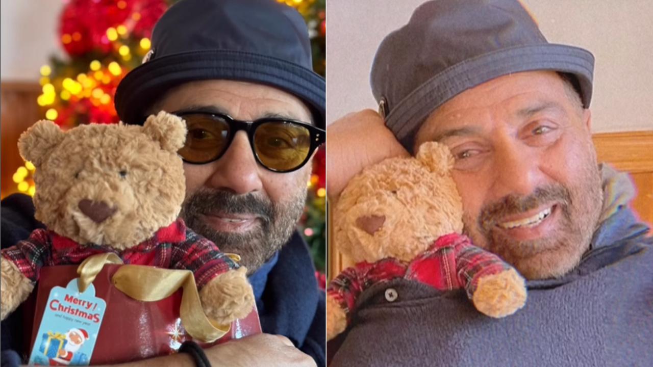 When Sunny Deol revealed his obsession for teddy bears