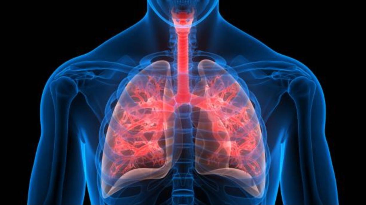 India witnesses reduction in tuberculosis cases by 16 per cent since 2015
