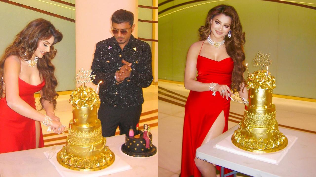 Urvashi Rautela cuts birthday cake with 'Love Dose' co-star Yo Yo Honey Singh