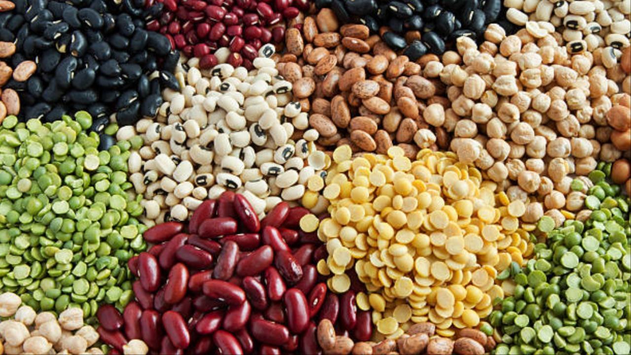 World Pulses Day is observed annually on February 10 to mark the significance and multifarious benefits of pulses. Photo Courtesy: iStock