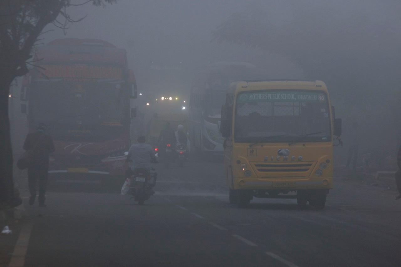 Visibility levels plunged to 25 metres in Amritsar in Punjab and Lucknow and Varanasi in Uttar Pradesh; 50 metres in Chandigarh, Uttar Pradesh's Bareilly, Bihar's Purnia and Assam's Tezpur; and 200 meters in Ambala in Haryana and Ganganagar in Rajasthan