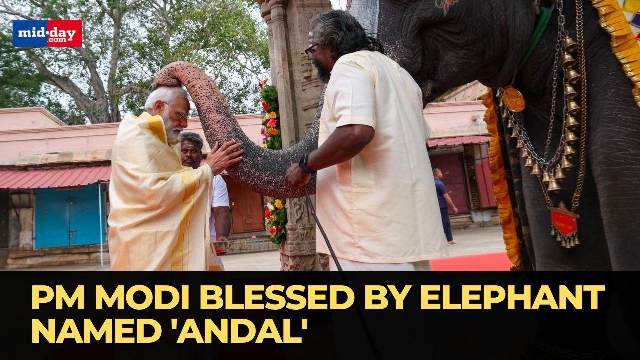 PM Narendra Modi Visits Sri Ranganathaswamy Temple