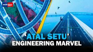 Built at cost of over Rs 17,840 crore, all you need to know about Atal Setu