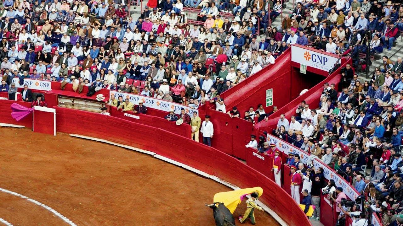 Bullfighting resumes in Mexico City