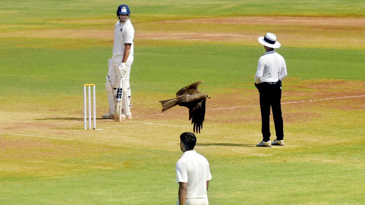 Mumbai Diary: Wednesday Dossier