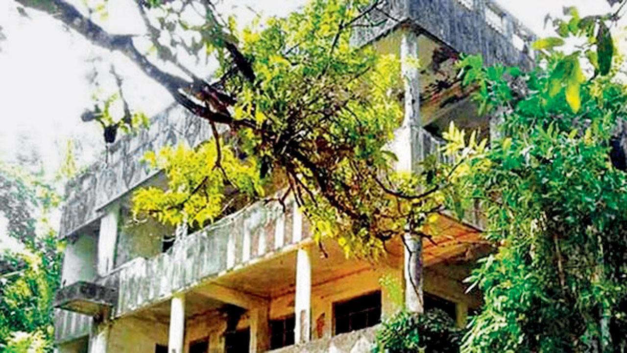 Mumbai gangster Dawood Ibrahim's property auction sees mixed response