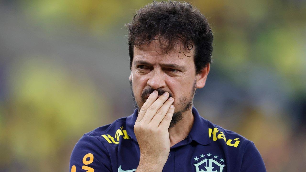 Brazil sack coach Diniz