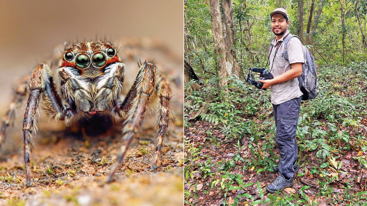 Pic/Pranav Joshi; (right) Rishikesh Tripathi has described 12 species of spiders in India, from the Himalaya, Thar Desert and Western Ghats