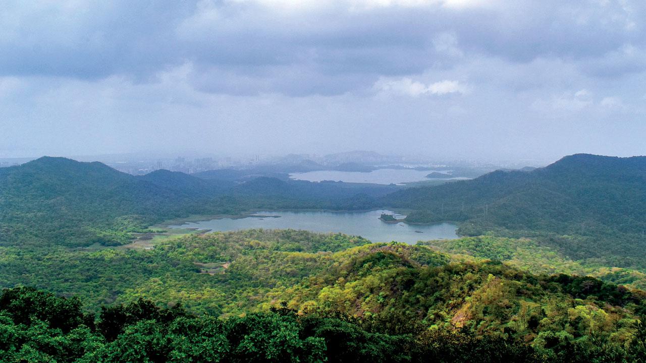 The view from the highest point of the Jambulmal trek  