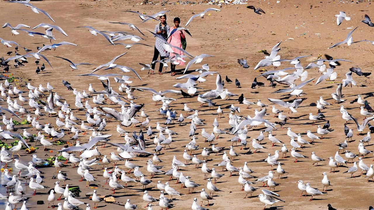 Mumbai Diary: Saturday Dossier