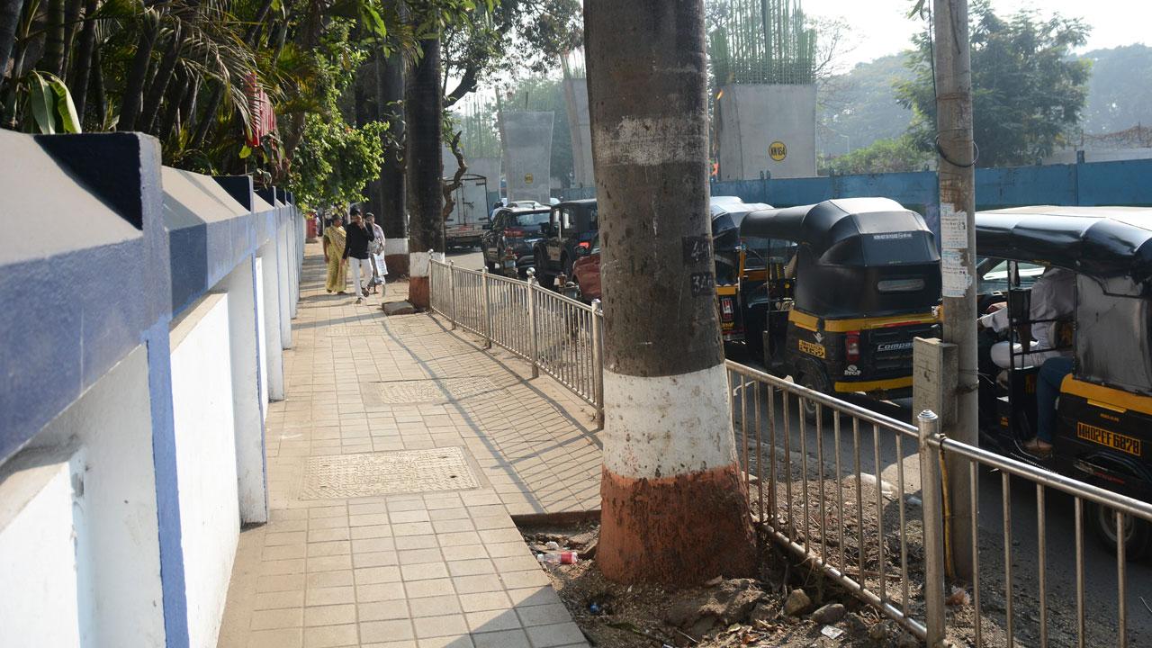 Big trees on the road outside Nanavati hospital ( SV Road),  while the construction of metro line 2B  is underway. Pic/Sayyed Sameer Abedi