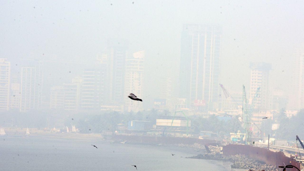 The weather department stated that the city and suburbs would be seeing mainly clear sky.