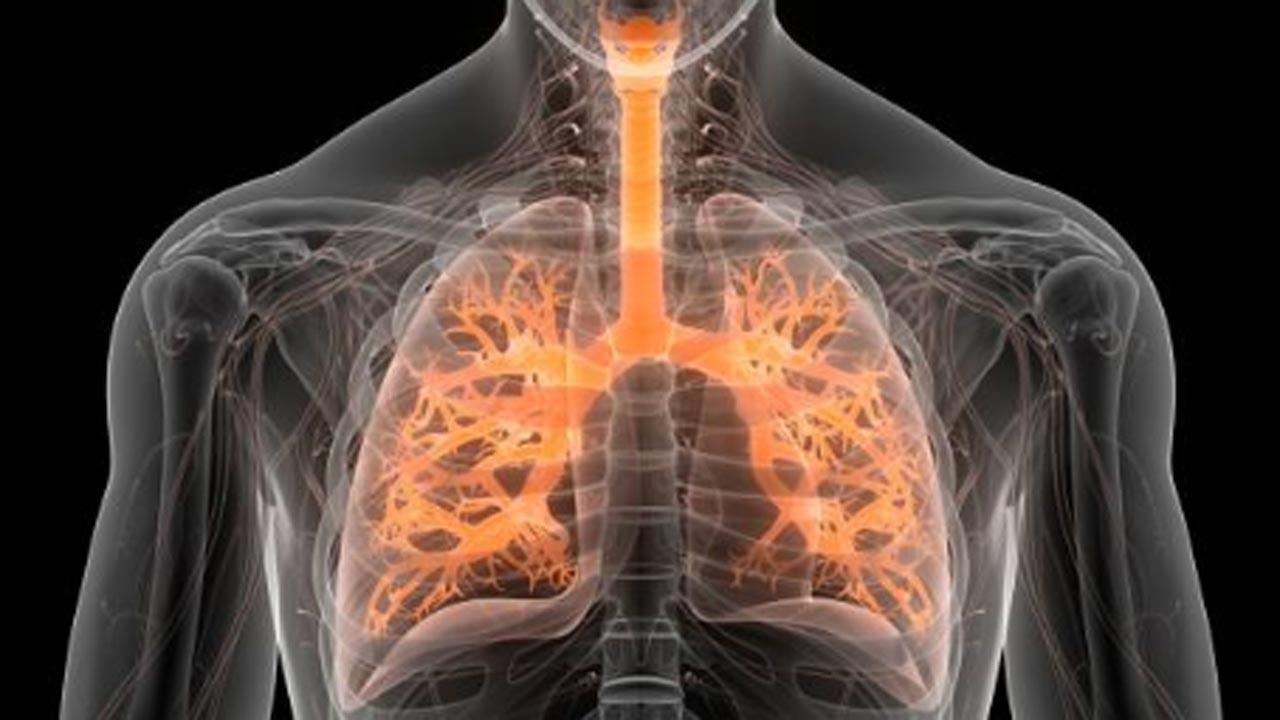 Nutritional acquired immunodeficiency is driving TB pandemic: Study
