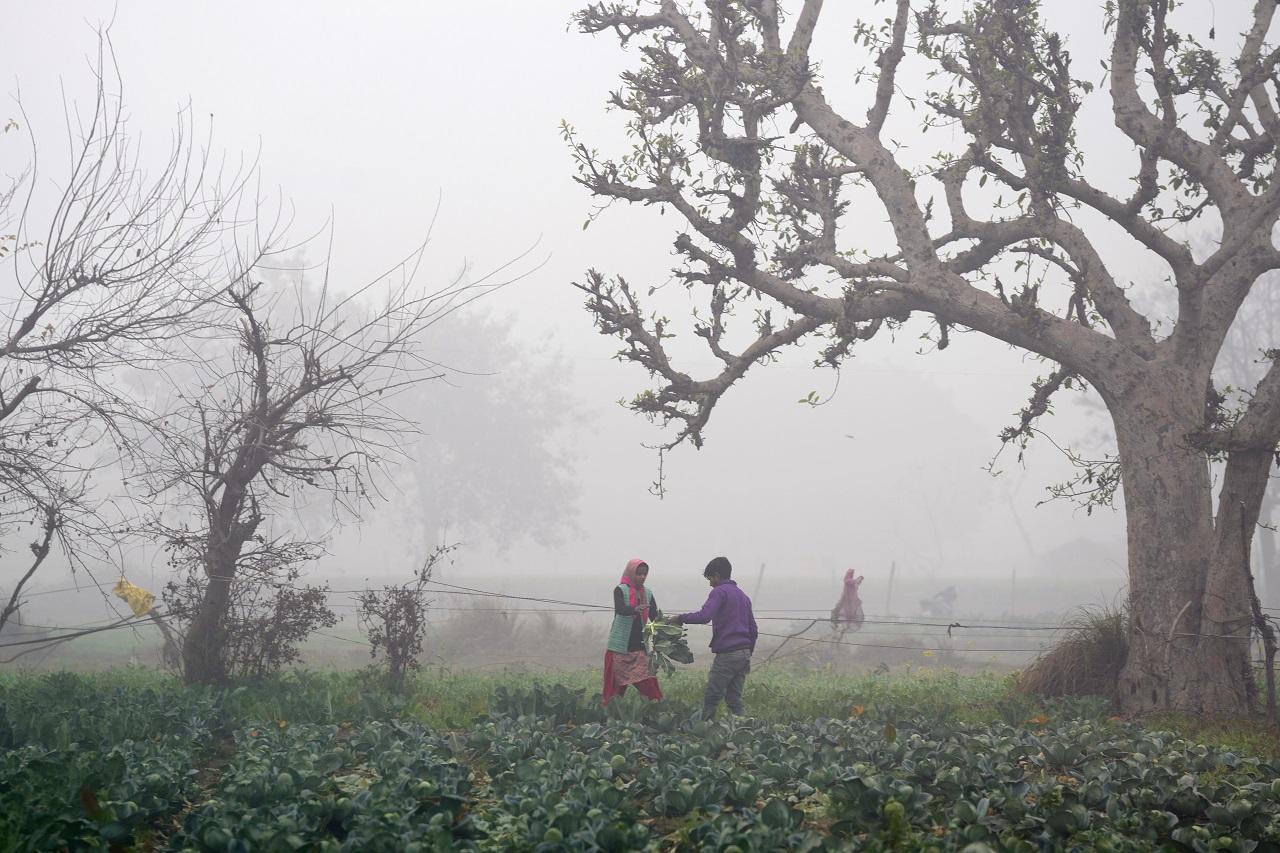 Zero visibility was reported at the Indira Gandhi Airport at 6.30 am as a thick layer of fog engulfed the area. The visibility remained the same till 9 am, they said