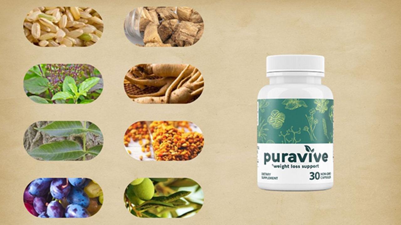 Puravive Reviews R=h Groups.google.com