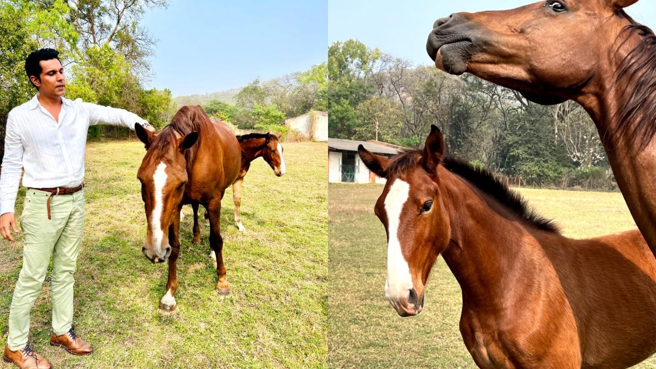 Watch: Randeep Hooda plays with new born stallion Veer, reveals naming him after Veer Savarkar