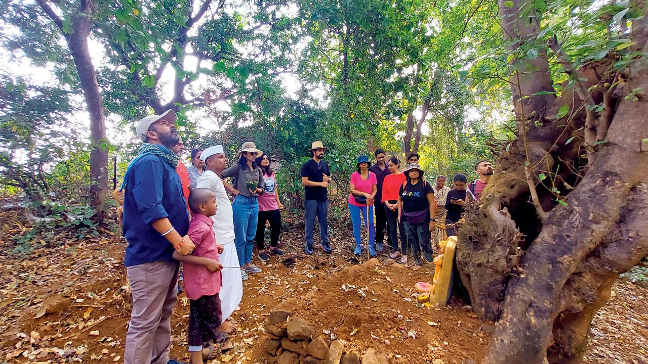 Visitors observe a 100-year-old mahua tree (right) in the village