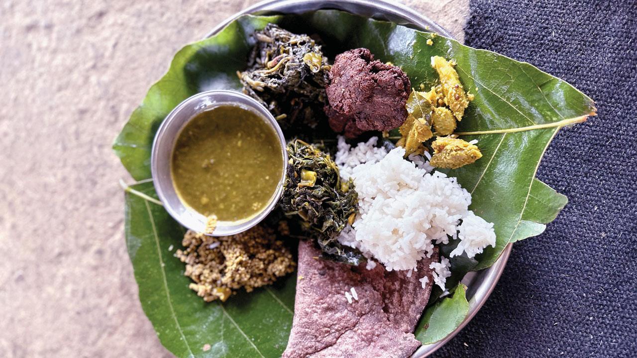 Sign up for a nature trail to explore the Sahyadri’s rich culinary heritage
