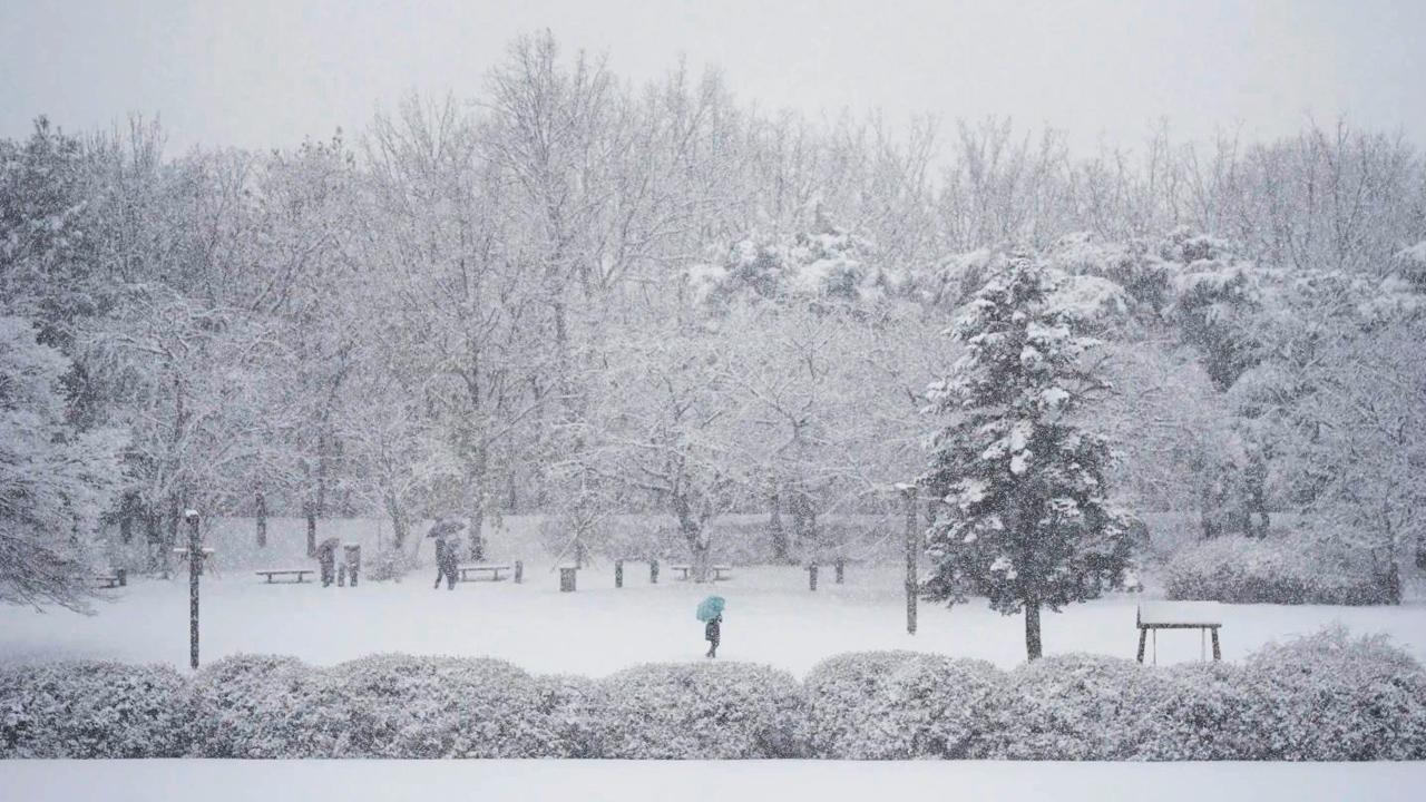 Seoul sees record snowfall