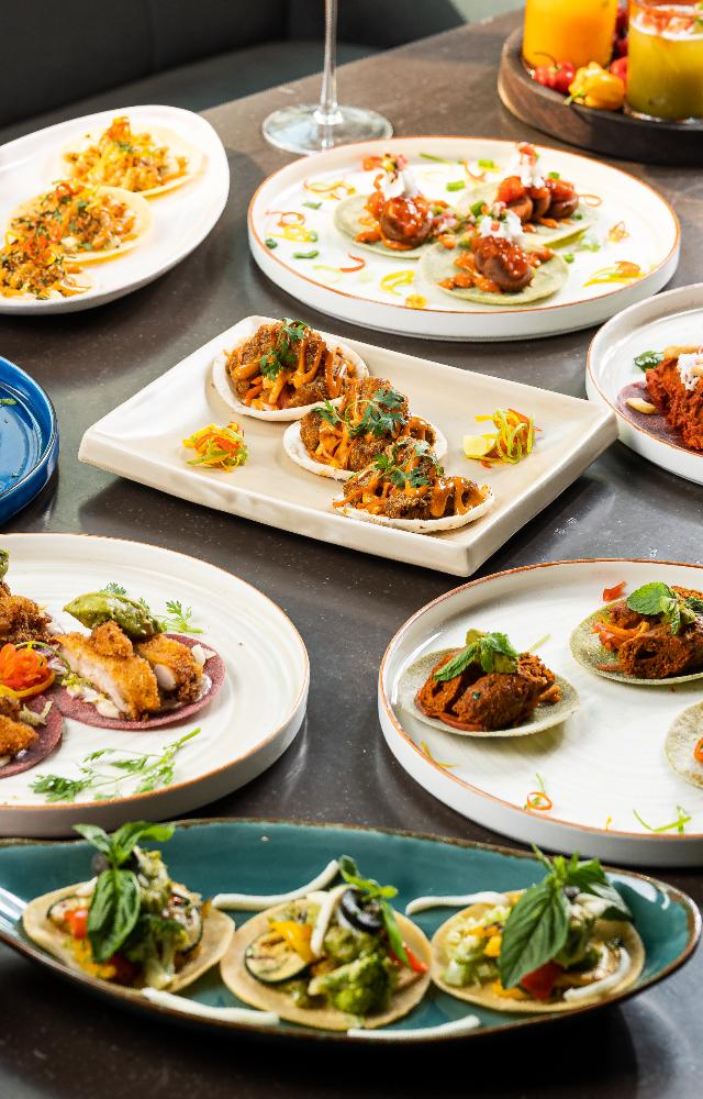 Butterfly High introduces Tequila & Tacos festival to give Mumbaikars a taste of Mexican food till February 21 across its five locations