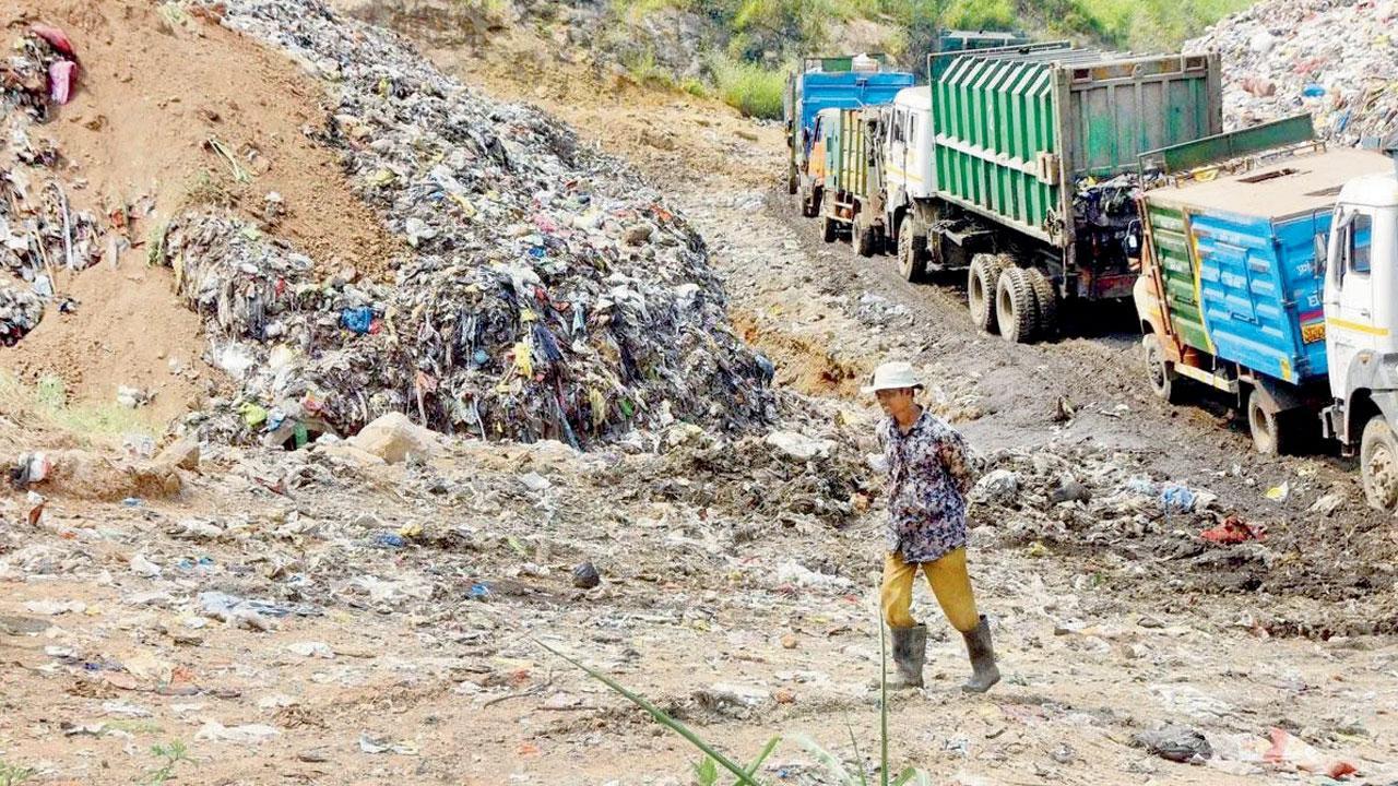 Thane faces green rap over waste management