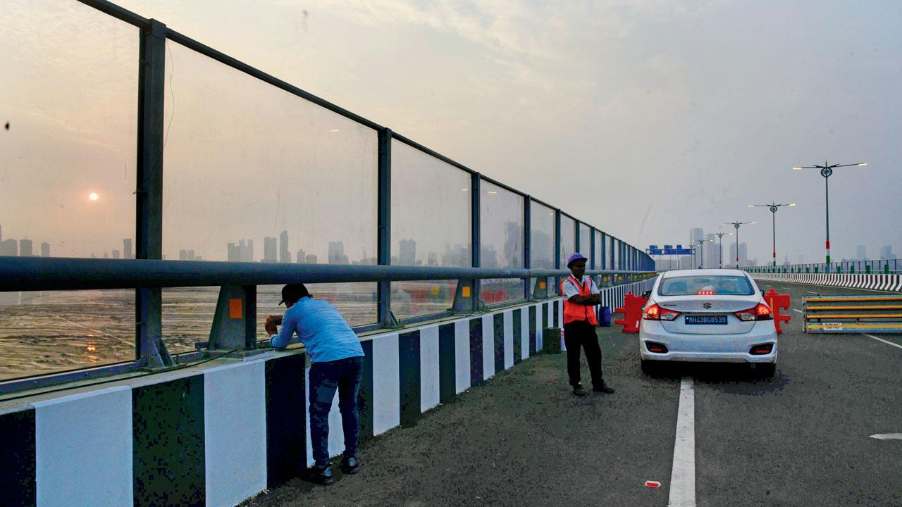 A sound barrier, which will prevent migratory birds from being rattled by the movement of traffic