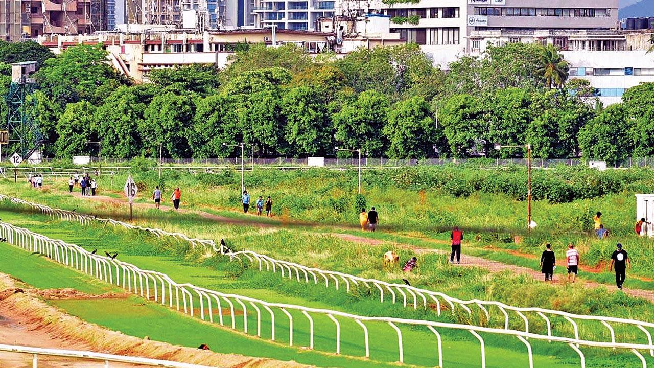 Club members said the racecourse is already used by the public and there is no need for a park. File pic