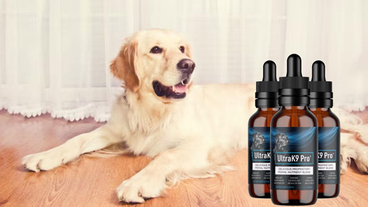 UltraK9 Pro Reviews 2024 - Worrying About Your Pet’s Health? (Must Read Before 