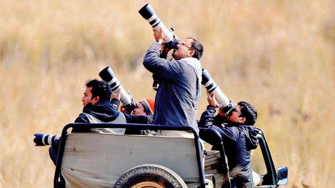 Participants at a previous edition. Pic Courtesy/Nature Wanderers