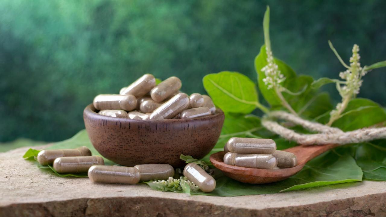 Ayurvedic treatments for kidney health primarily involve the use of herbs and natural substances that have been proven effective over centuries. Herbs like Punarnava, Gokshura, and Varuna are known for their diuretic properties, promoting healthy urine flow and aiding in the removal of toxins from the body.  