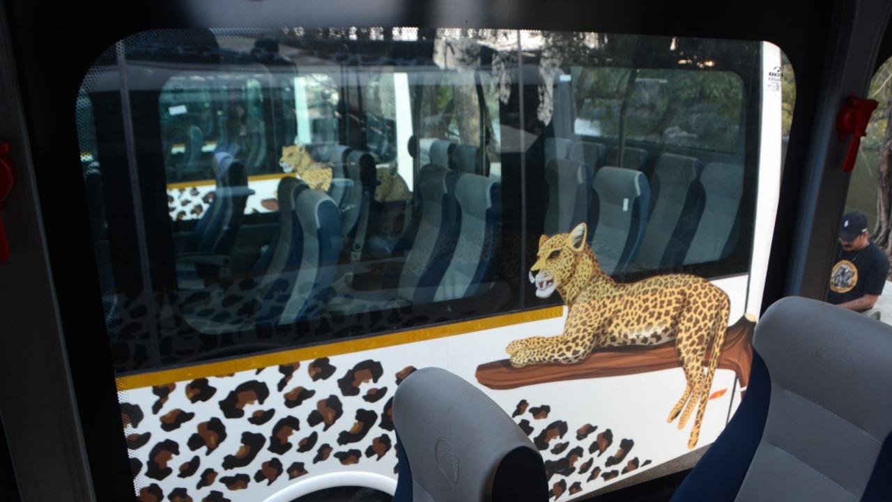 The electric buses will facilitate guided tours within the park, allowing visitors to explore its rich biodiversity without leaving a carbon footprint, the officials said