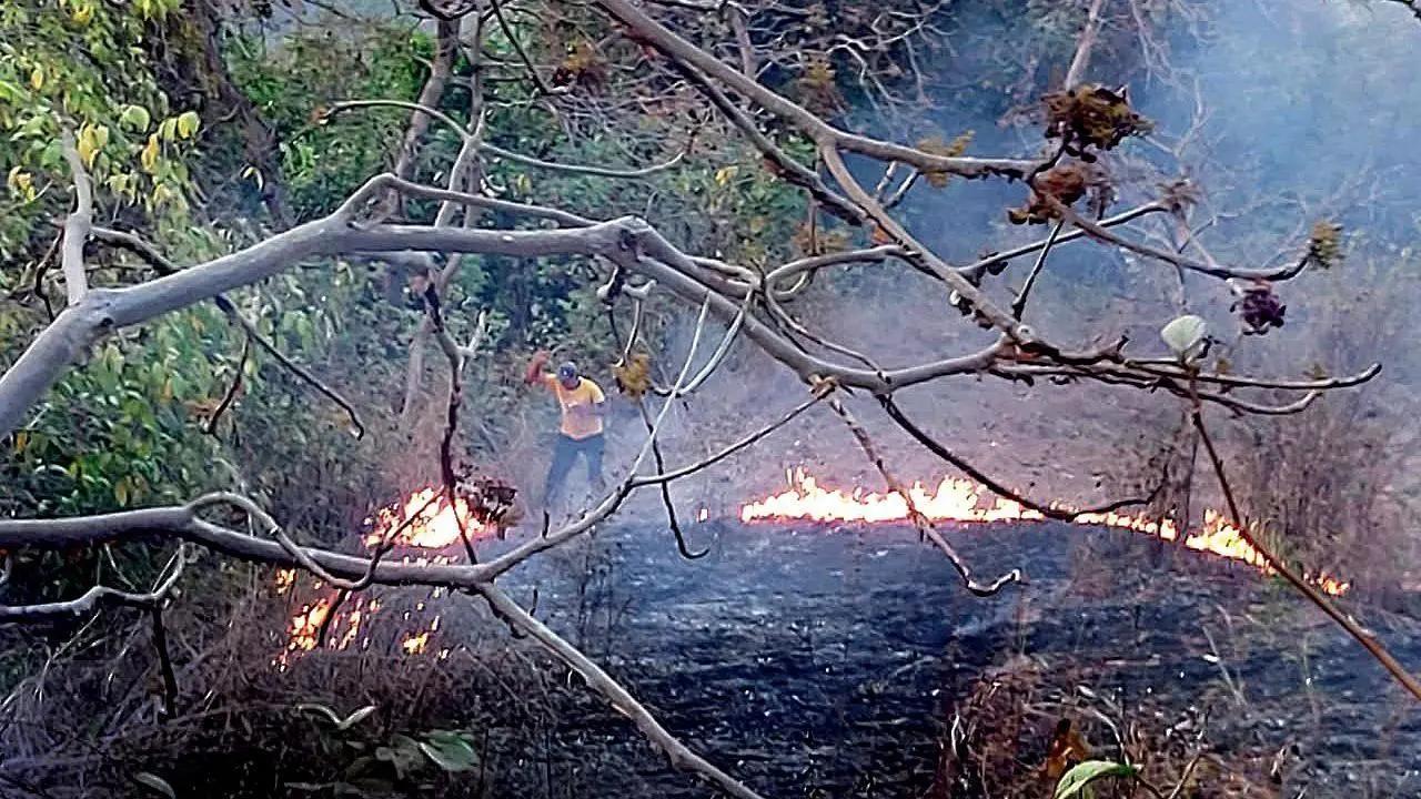 Fire in PoK forest spreads to Indian side, security forces on alert