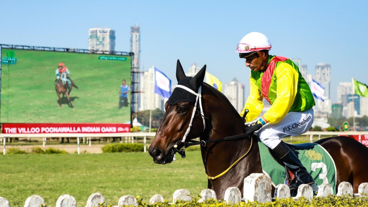 A jockey zooms past the racetrack at Mahalaxmi Racecourse at the Villoo C. Poonawalla Indian Oaks (Grade 1), famously known as the Ladies Derby. Image credits: Indian Oaks Derby