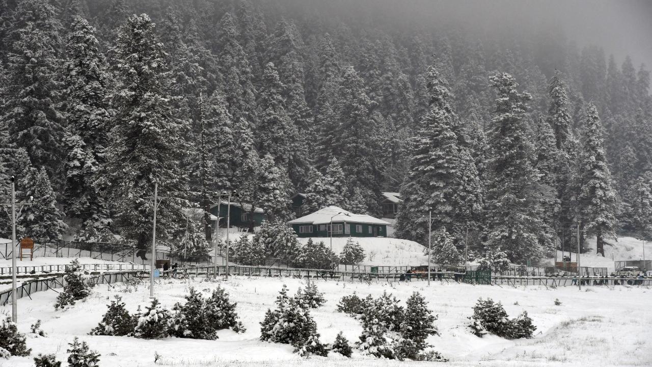 In Pics: Kashmir's winter wonderland, Gulmarg