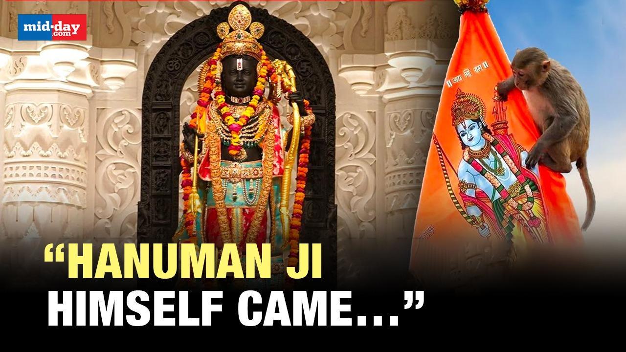 Ayodhya Ram Mandir: Monkey enters Garbhagriha in Ayodhya Ram Temple