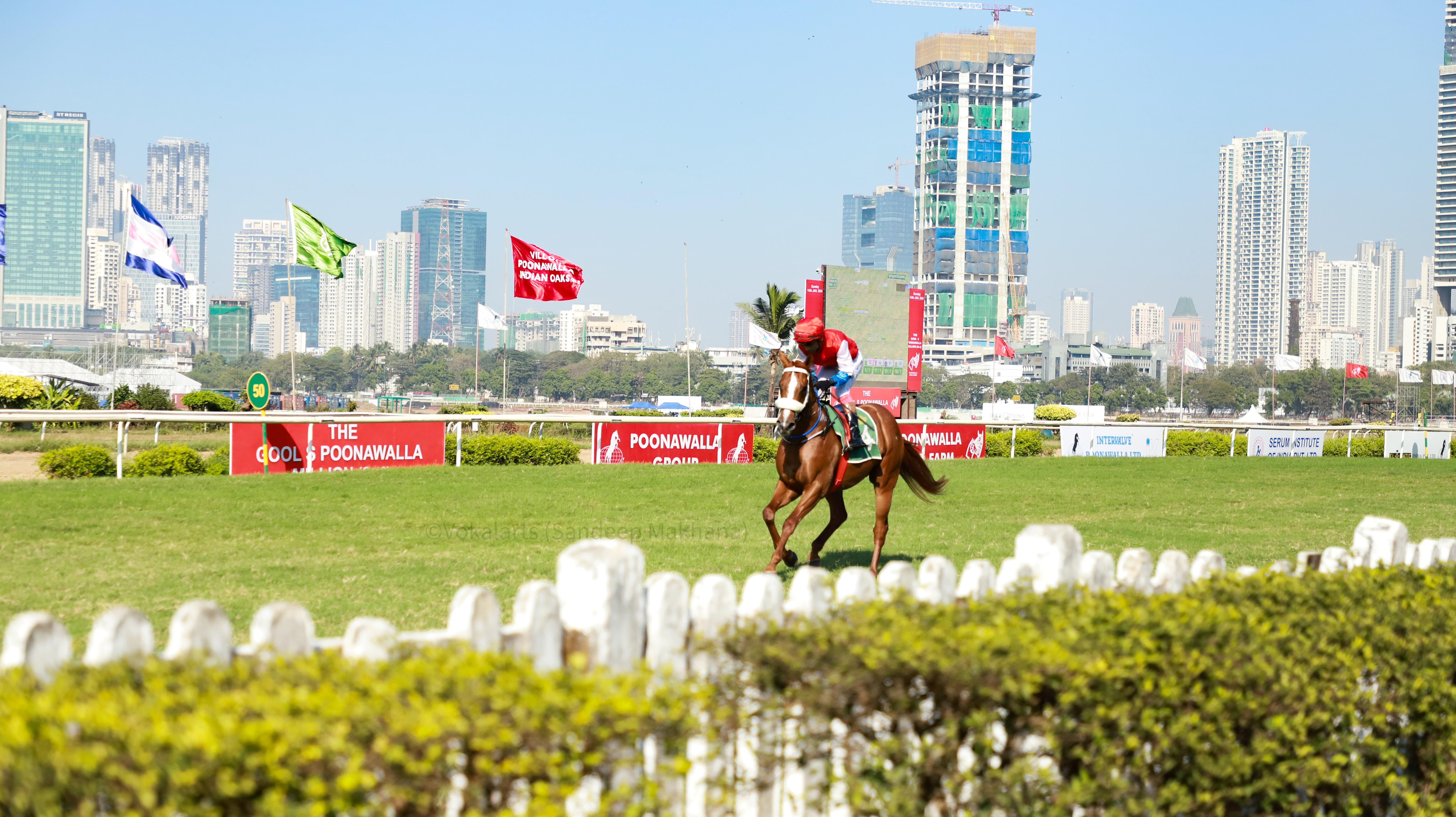 Mumbai’s horse racing season commences in November and goes on till April featuring India’s top five classic races: the Indian Derby, the 1000 Guineas Race, the 2000 Guineas Race, the Oaks Race and the St Leger Race