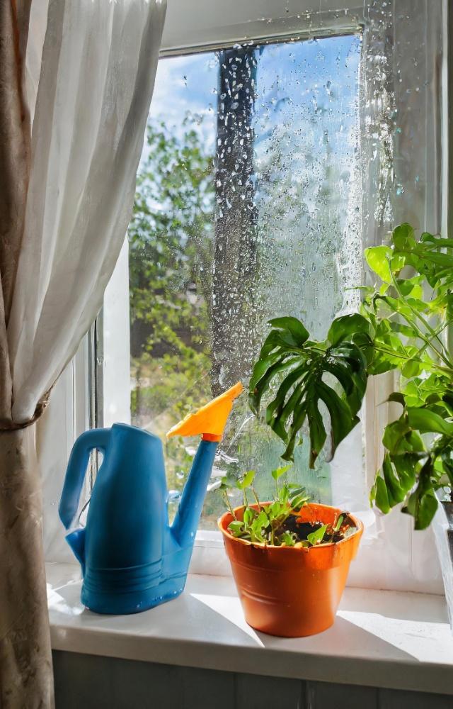 Observe and see when the leaves turn yellow. That is a sign that your plants need water. This will teach you how your plant drinks water 
 