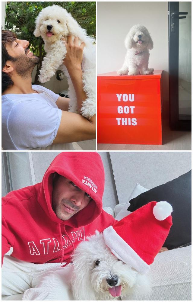 Cute pics of Kartik Aaryan`s dog Katori