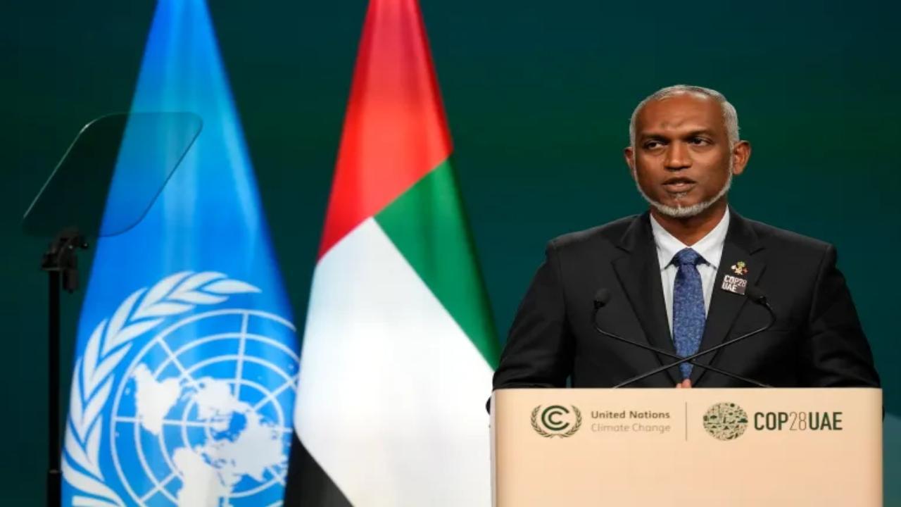 Maldives government disavows 
