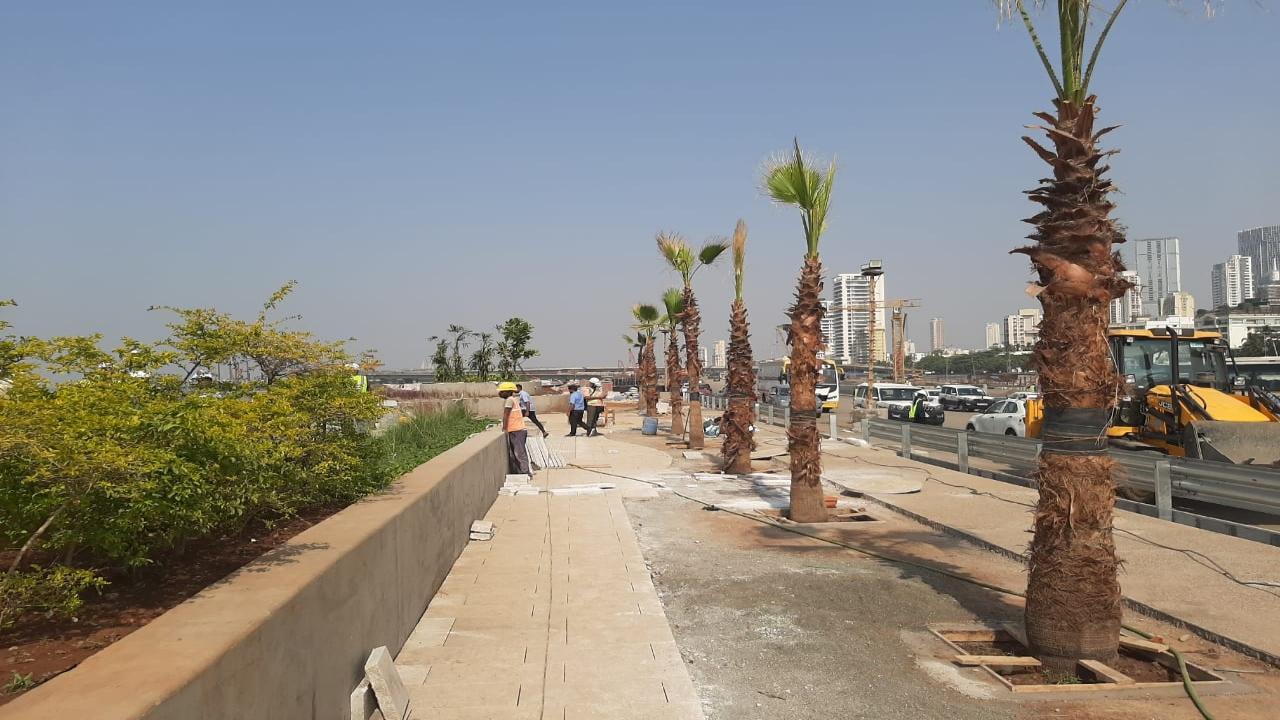 Brihanmumbai Municipal Corporation's latest venture, the most expensive project to date, is poised to undergo a radical transformation of Mumbai's western seafront, revolutionizing the daily commute for a majority of the city's residents.