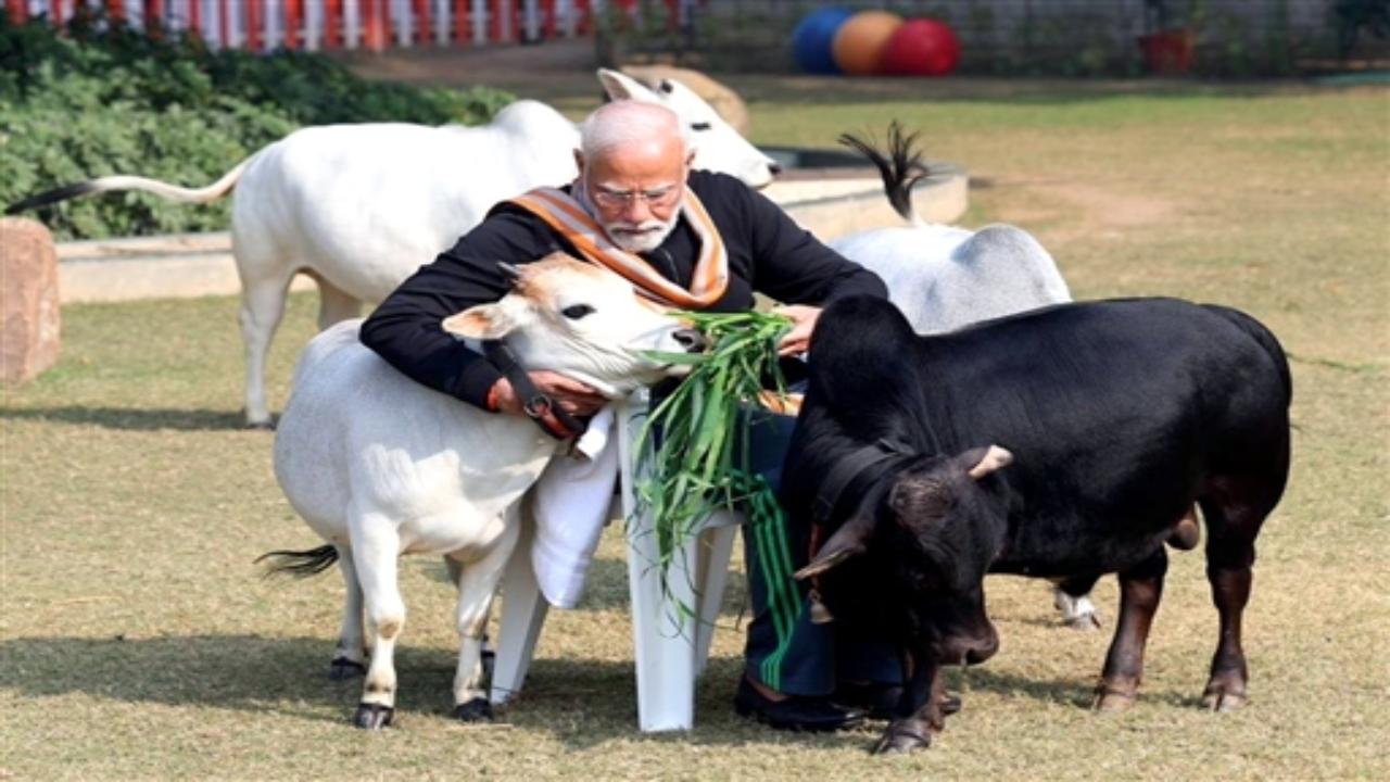 Earlier today, PM Modi gifted his shawl to a young girl who performed during the Pongal celebrations at the residence of Union Minister of State L Murugan in the national capital.