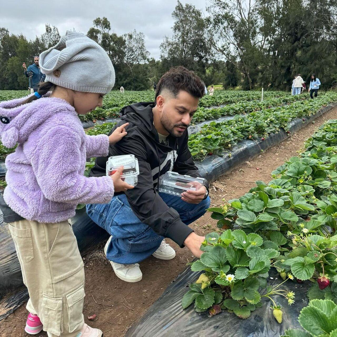 Kunal teaches his little one tricks and tips on carefully plucking the best strawberries and Inaaya seems keen on learning