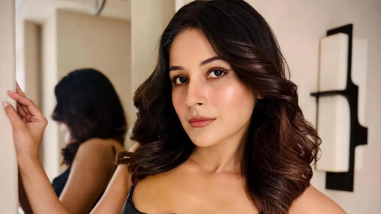 From entering Bigg Boss 13 to Bollywood debut, Sana's journey so far