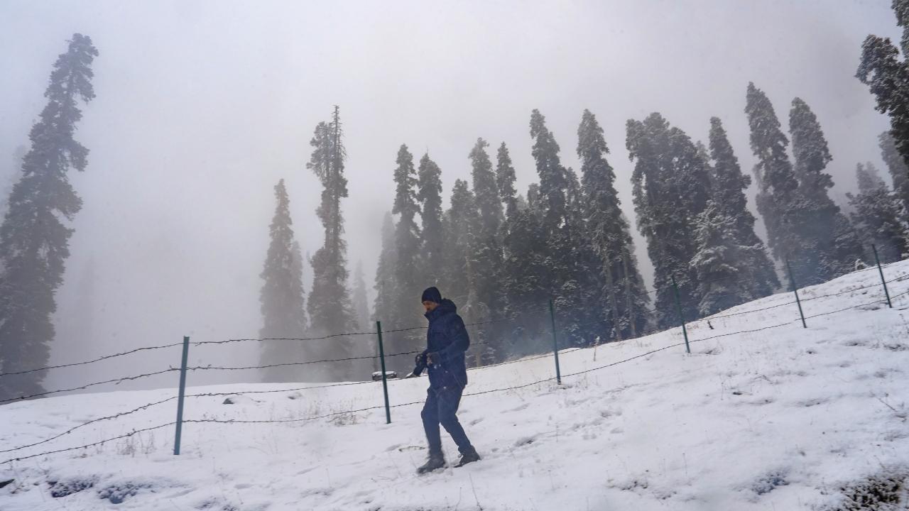 IN PHOTOS: Snowfall in Kashmir brings cheers to tourists