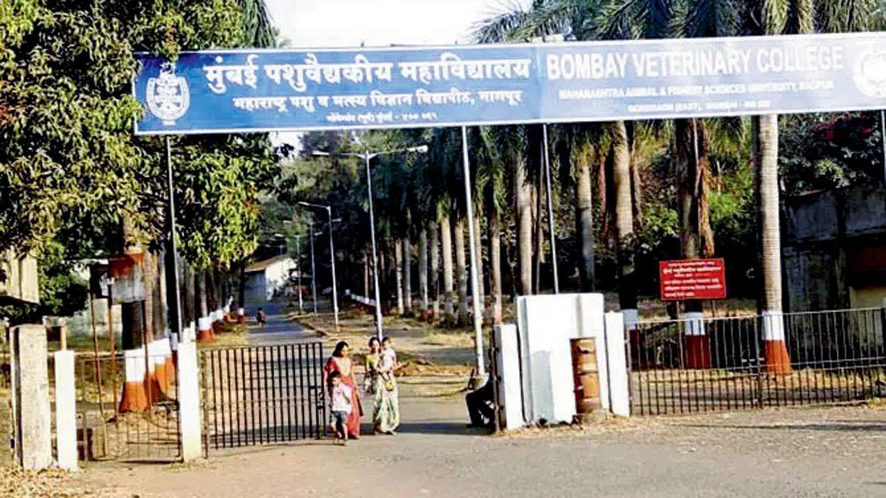 Mumbai: ‘This free giveaway of Aarey land must stop’
