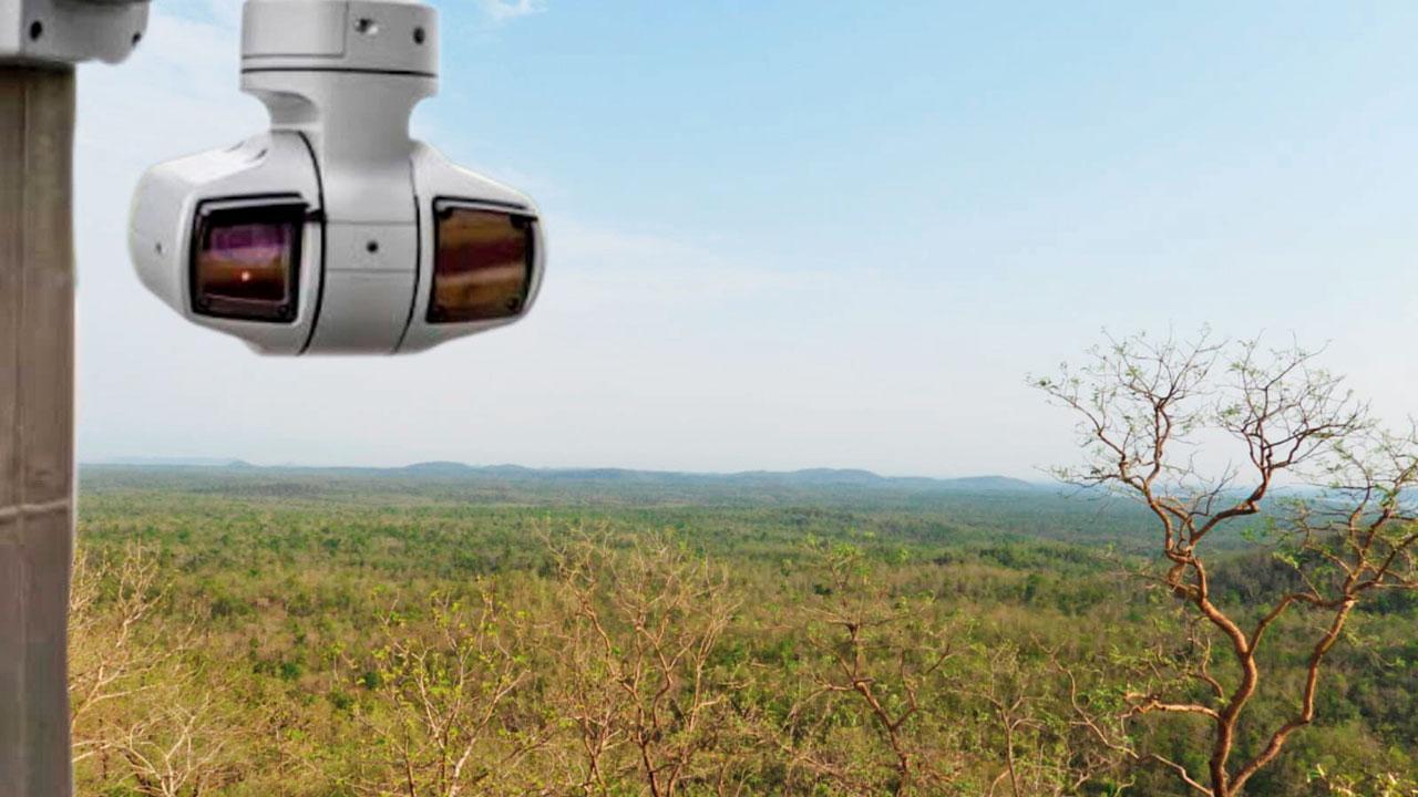 Mid-day 45th anniversary special: This AI system detects forest fires in 3 minutes!